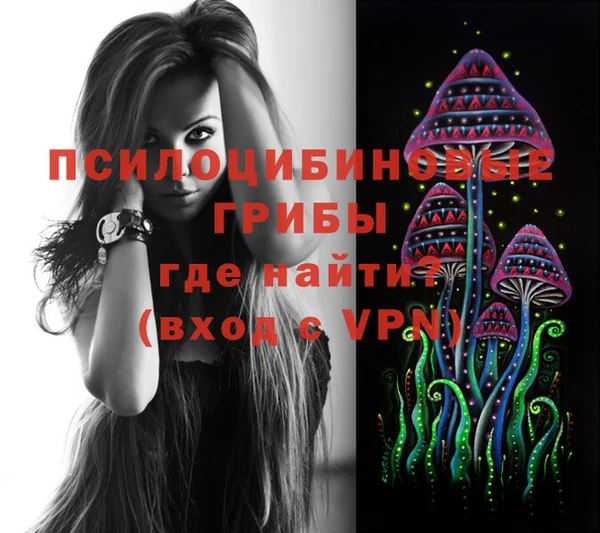 бутират Алексеевка
