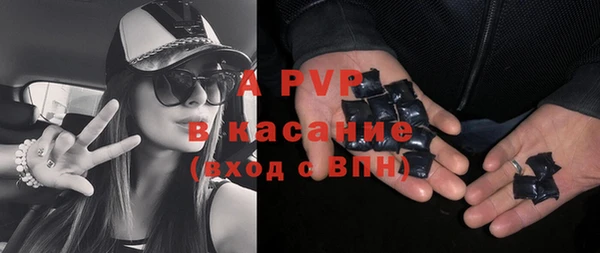 хмурый Арсеньев