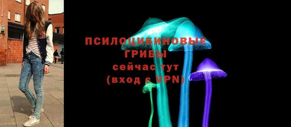 хмурый Арсеньев