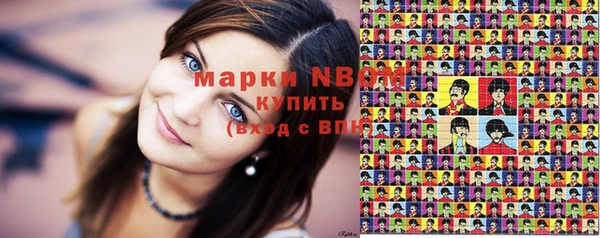 хмурый Арсеньев