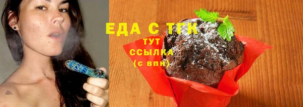 хмурый Арсеньев